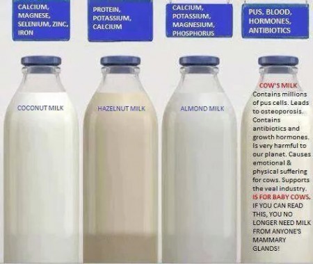 differences in milk